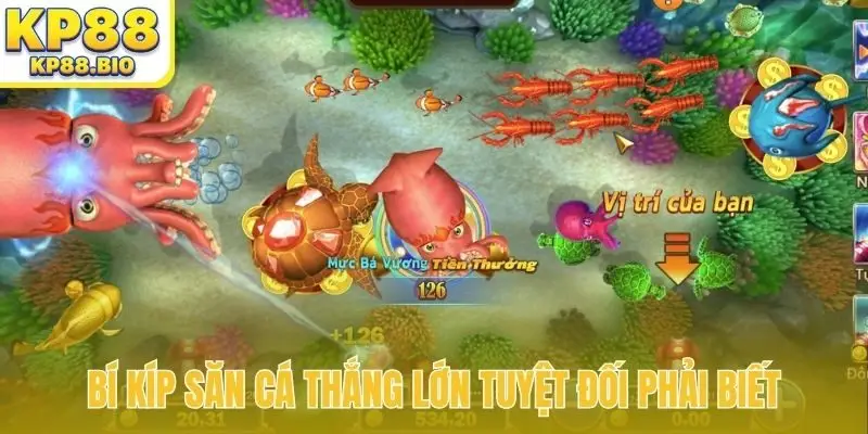 Bí kíp săn cá thắng lớn tuyệt đối phải biết