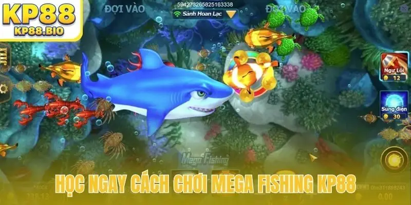 Học ngay cách chơi Mega Fishing KP88